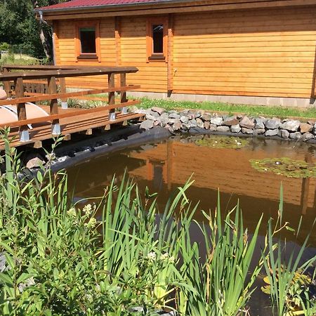 Villa Blockhaus Harzblick4C Braunlage Exterior foto