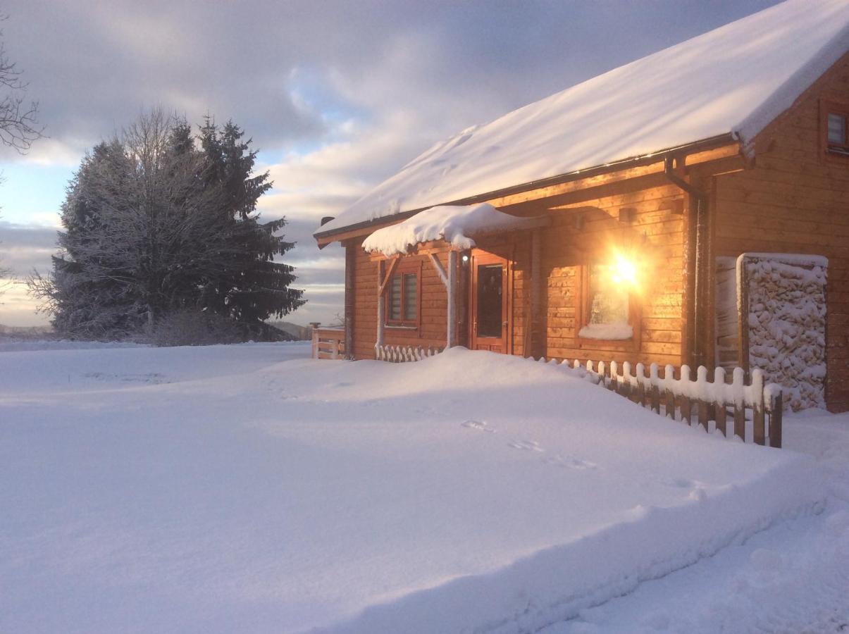 Villa Blockhaus Harzblick4C Braunlage Exterior foto