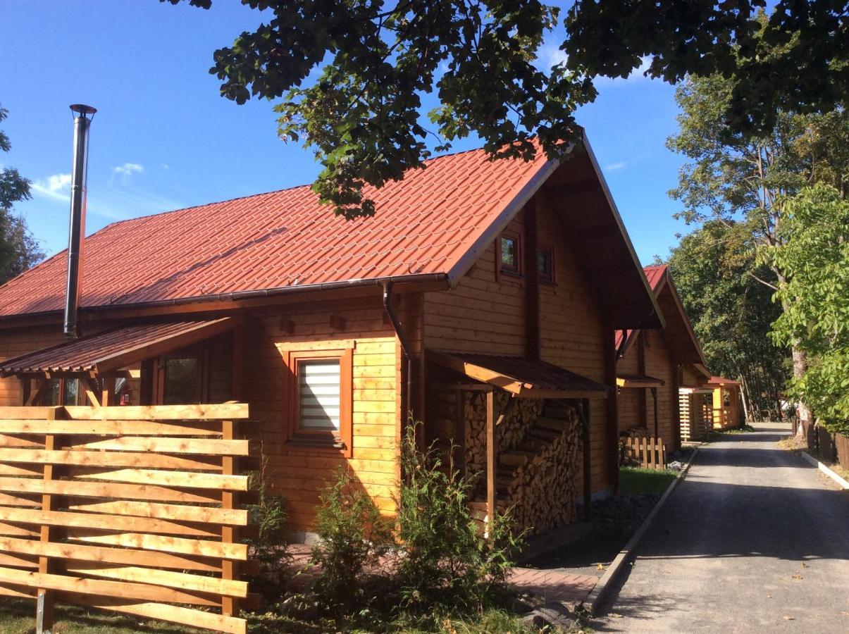 Villa Blockhaus Harzblick4C Braunlage Exterior foto