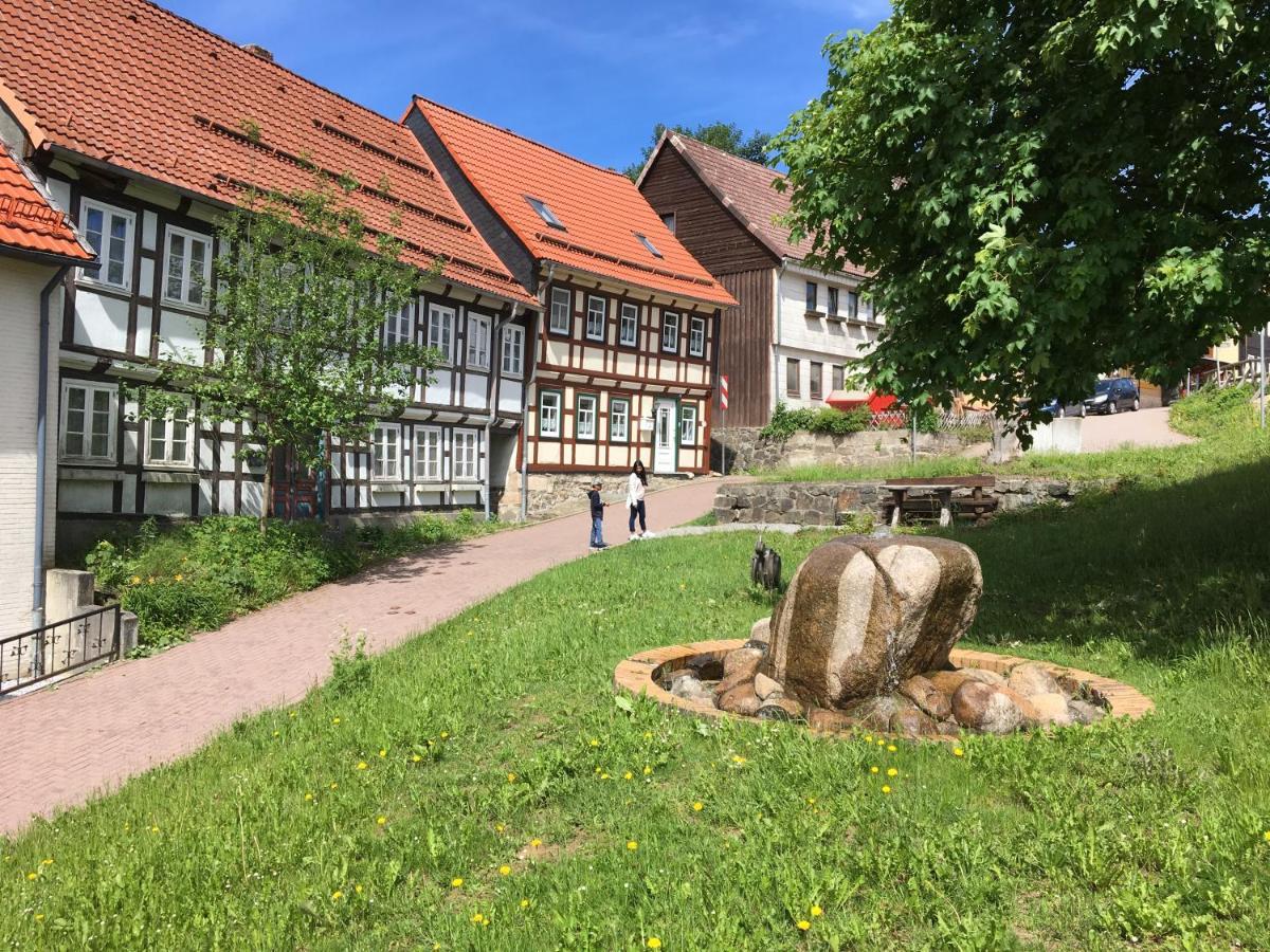 Villa Blockhaus Harzblick4C Braunlage Exterior foto